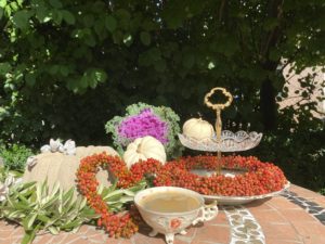 Read more about the article Blumenfrühstück 3/3
