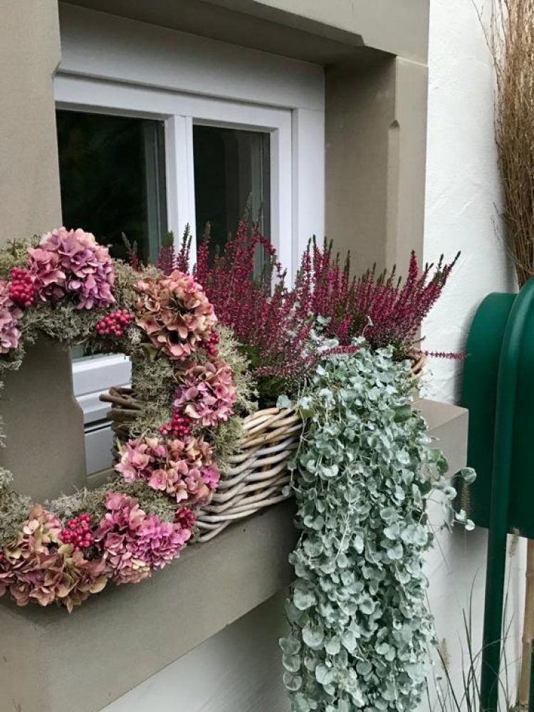 2021-01-27 at 09.04.17 (5)