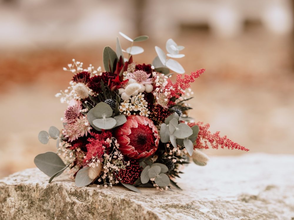 407ecd03-84f4-4be0-8a89-54b29873898b